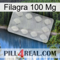 Filagra 100Mg 16
